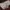 Streetwear Casual Casual pants Pria burgundy photo 8