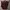 Streetwear Casual Casual pants Pria burgundy photo 1