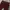Streetwear Casual Casual pants Pria burgundy photo 4
