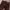 Streetwear Casual Casual pants Pria burgundy photo 5