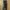 Polham BSTN Men's Youth Green Army Jogger Pants 27 photo 2
