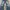 Y2K Brappers Lady Vintage Faded Flare Jeans