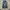 Y2K Brappers Lady Vintage Faded Flare Jeans photo 5