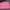 Steve Madden Casual Wanita Pink