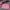 Steve Madden Casual Wanita Pink