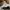 Puma Speedcat White Cream photo 6