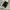 New Balance 1906R Fullblack photo 3