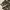 Y2k Whimsical Botanical Long Sleeve photo 6