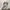 Uniqlo Vintage Streetwear Track jacket Pria white photo 5