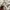Uniqlo Vintage Streetwear Track jacket Pria white photo 6