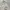 Uniqlo Vintage Streetwear Track jacket Pria white photo 4