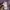 EMSEXCITE Japanese Brand Purple Dress with Belt photo 5