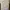 Chagee BES-TEA Brew Crew Plushie Blindbox photo 4