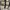 Burberry blue label mini skirts photo 7