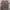 Y2K Henley Grey Maroon Shirt Damon Salvatore photo 3