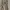 Uniqlo Beige Slim Ankle photo 2