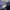 Ben Davis Streetwear Skater T-shirt Pria navy photo 7