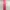 JBL TUNE 110 Earphone (red) photo 3