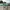 Adidas Streetwear Casual Sneakers Pria green photo 1