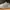 Sepatu Sneakers Jordan Eclipse Triple White size 43 photo 2