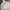Gucci Luxury Sportswear Hoody Pria white cream photo 1