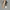 Adidas Streetwear Casual Sneakers Pria white black photo 5