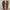 Vans Authentic Pro 'S' x Harmony Korine photo 3