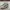 Vans Authentic Pro 'S' X Harmony Korine