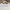 Gucci Luxury Casual T-shirt Wanita cream yellow photo 6