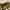 Zara women collared V neck twist knot front cuffed photo 3