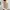 AJOBYAJO Minimalist Casual Polo shirt Pria multicolor photo 1