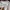 Stussy Streetwear Casual Formal shirt Pria multicolor photo 5