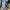 Vintage Y2K Skirt Wanita blue photo 2
