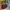 Longchamp Minimalist Tote bag Wanita green red photo 1
