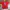 Gildan Vintage Y2K T-shirt Pria red pink photo 2