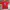 Gildan Vintage Y2K T-shirt Pria Red Pink