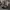 Adidas Superstar 2 Core Black Cloud White