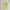 Butter Yellow 3D Flower Patch Mote Y2k Cute Whimsy Tank Top