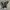Converse 70s Chinese Year 2020 photo 5