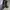 Converse 70s Chinese Year 2020 photo 6