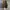 Converse 70s Hi Khaki photo 7