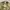 Jaket us military ecwcs Camo Land Industries second photo 4
