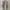 ZARA Minimalist Casual Casual dress Wanita white photo 2