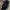 Tory Burch Luxury Crossbody Bag Wanita black photo 5
