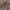 GUESS VINTAGE PINK photo 8