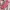 GUESS VINTAGE PINK photo 5