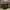 Polo Ralph Lauren Minimalist Tote bag Wanita brown photo 1