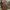 Polo Ralph Lauren Minimalist Tote bag Wanita brown photo 4