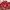 Avirex Vintage Leather jacket Pria red photo 6