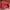Avirex Vintage Leather jacket Pria red photo 1